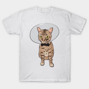 Monday Cat T-Shirt